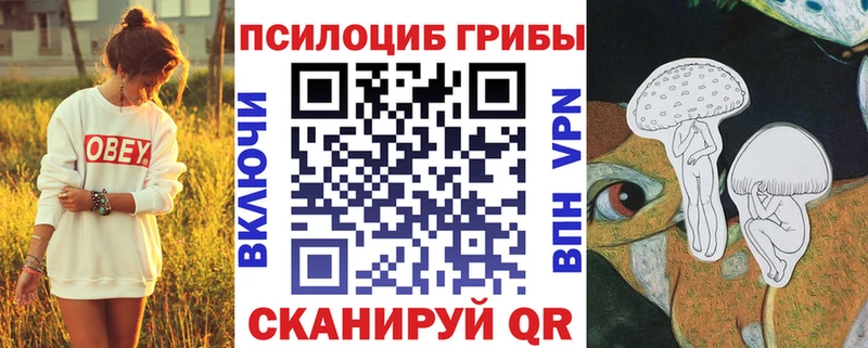 Галлюциногенные грибы мицелий  Грязовец 